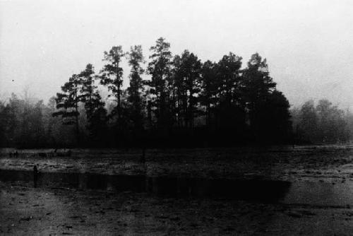 Site near Kimmswick