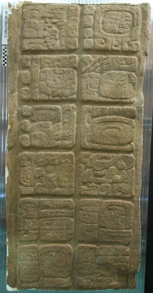 Cast of part of Stela C, Quirigua; east, middle