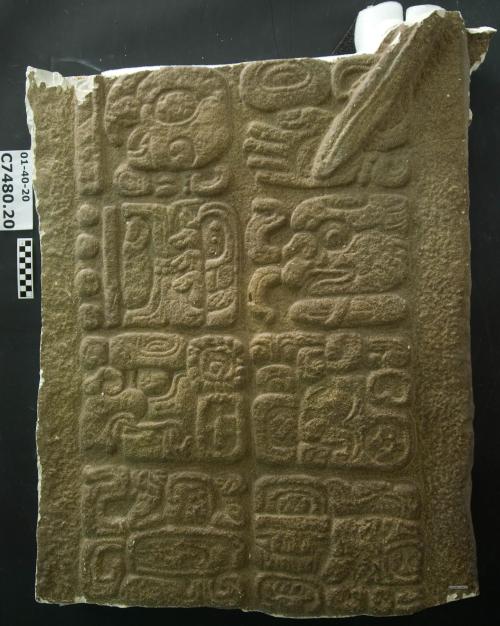 Cast of part of Stela J, Quirigua; north, glyphs