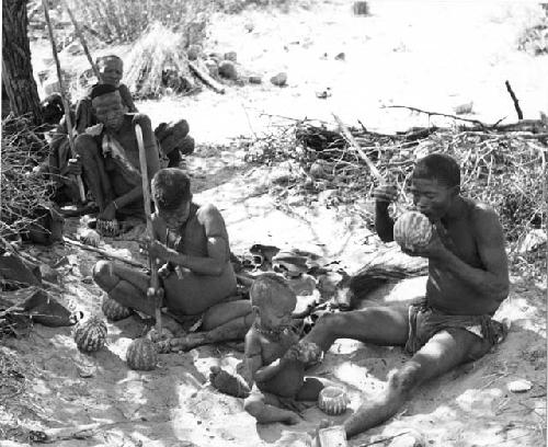 Gai's family eating tsama melons (Back to front, left to right: //Ku≠tera, /Twikwe, Taekue, N!whakwe, and !Gai)