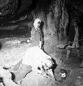 Shergatis in Diyan cave on Jebel Baradost near Rowandiz