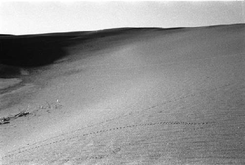 Sand dune