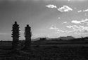 Two tall, narrow pagodas and several mounds in a field