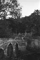 Bridge and wide stairway with three people sitting on steps and trees all around