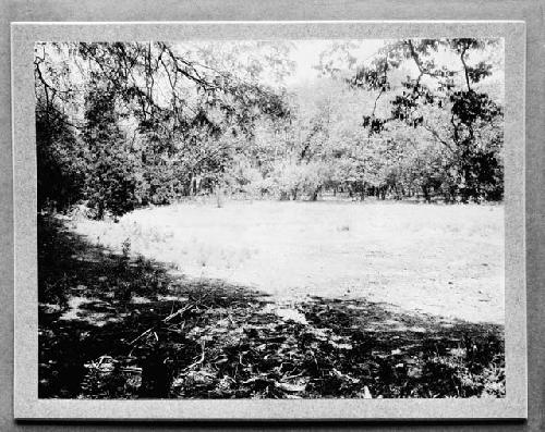 Site near Kimmswick