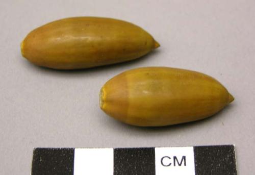 Acorns used for food