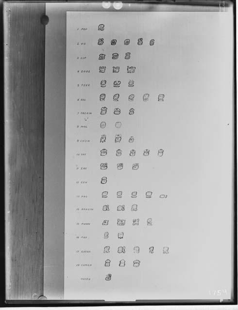 Month Signs For the Maya Year on Pages 46-50 of the Dresden Codex