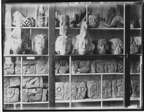 Peabody Museum - Central American Room - Sculptures from Copan (Cases)