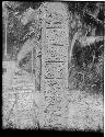 Stela D