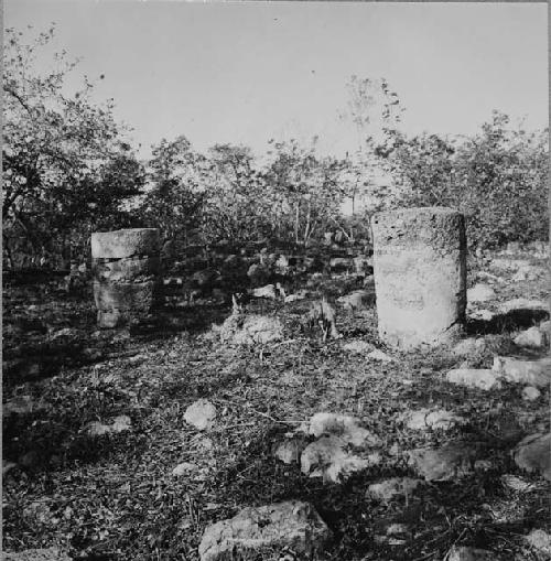 Columns on east side of Structure S133b