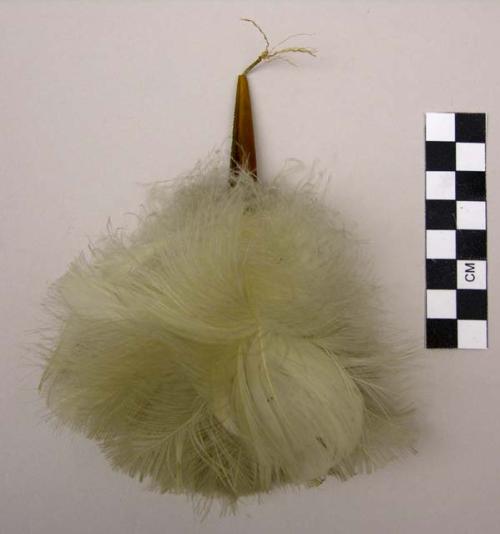 Feather ornament
