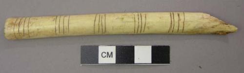 Worked bone, incised