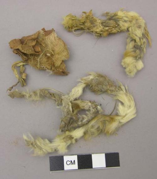 Hide fragments, with fur; 2 twisted into strands