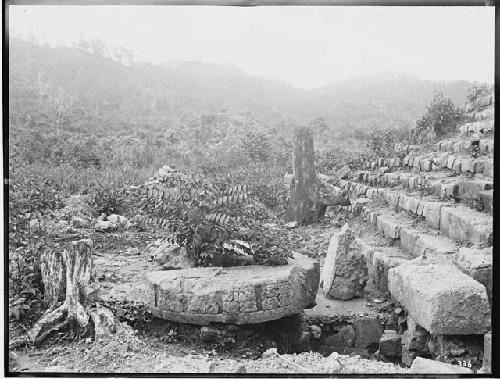 Altar of Stela 1 - looking north