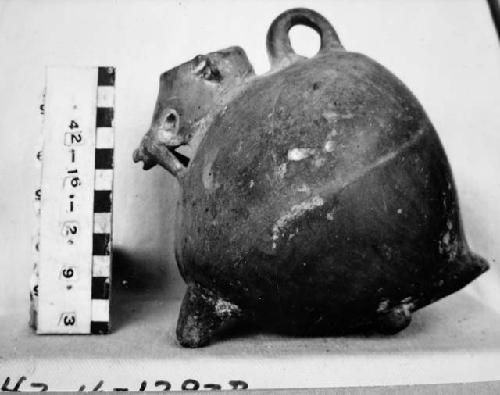 Pisote-effigy pottery jar, loop handle at reverse of neck. Light brown slip.