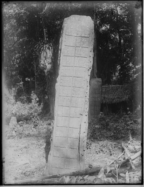 Stela 2 (C) - East Side