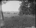 Folds -- looking West -- earthwork