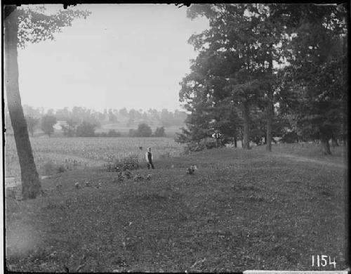 Folds -- looking West -- earthwork