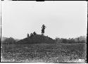 Mound on the Martin estate