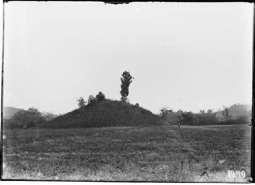 Mound on the Martin estate