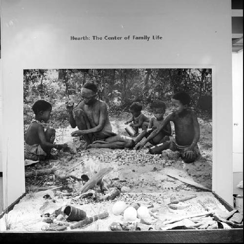 Display case from "Ju/wasi: Bushman of the Kalahari" exhibit