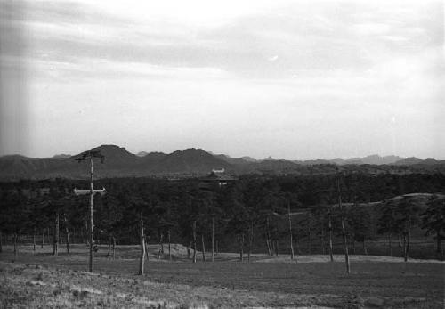 Field of poles in foreground