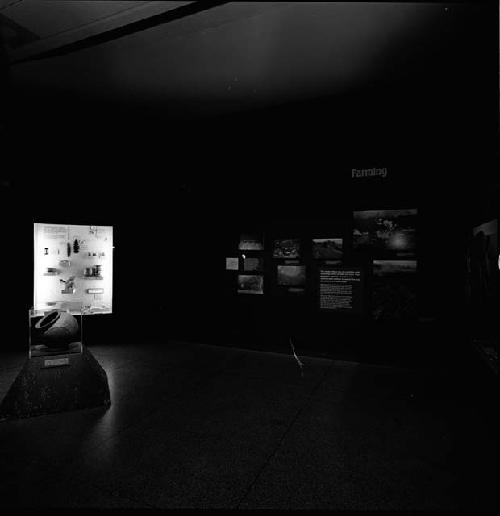 Copan exhibit in Museum of Science, June 1981