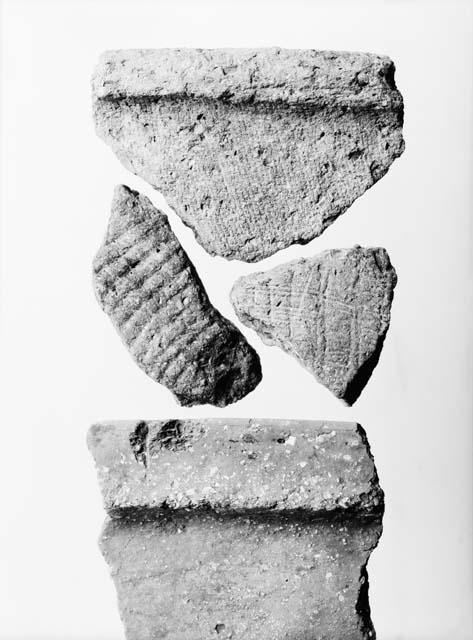 Potsherds from the east and west banks of the Cumberland River