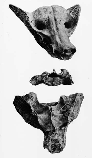 Photocopy of figures made from animal bone - Copy from Museo National de Mexico