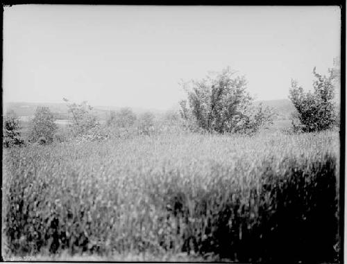 Looking West from Village Site