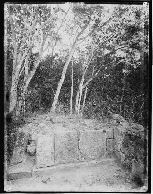 Section of wall with low reliefs within high mound, northeast of the Castle