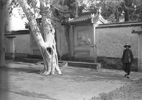 Woman in wide-brimmed hat walking by carved gate in wall