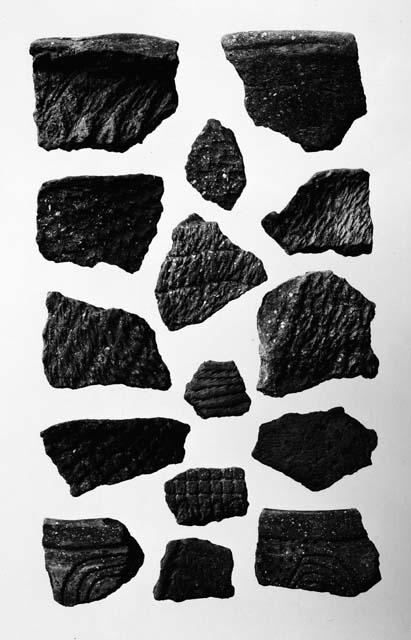 Fragments of pottery from Salt Spring