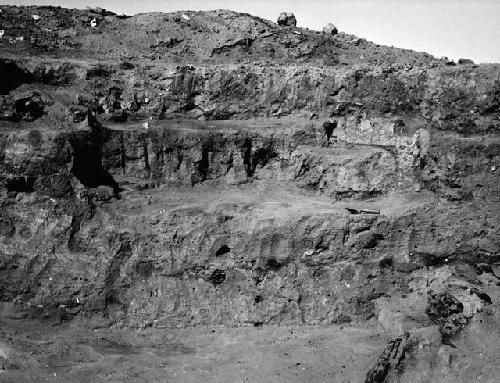 Red Hill site, section of fill of structure 203 showing south half of 201C