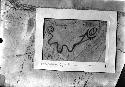 Plan of Serpent Mound by museum survey