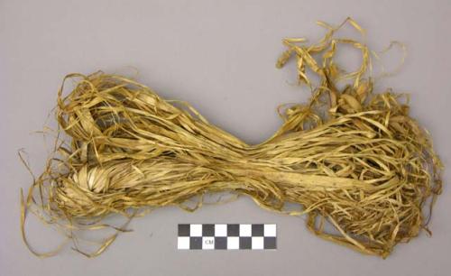 Fiber of apocynum cann.