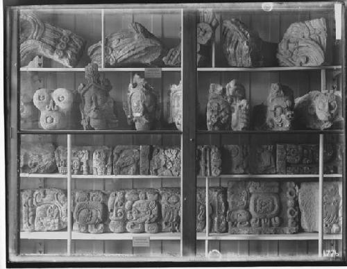 Peabody Museum - Central American Room - Sculptures from Copan (Cases)