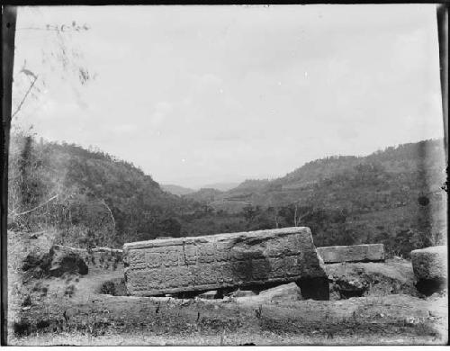 Stela 13 and Copan Valley - Looking Southwest