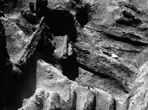 Red Hill site, structure 203, charred wood beams, short parallel logs