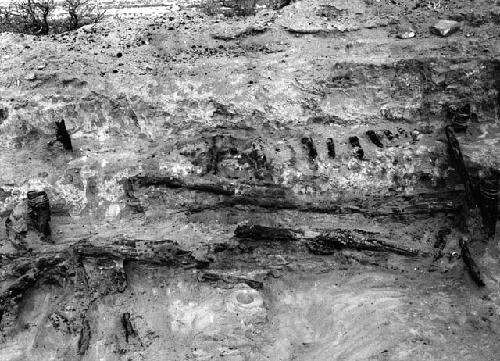 Red Hill site, structure 203, charred beams against west wall