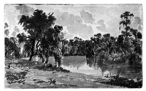 Watercolor "View on the Suwanne River from Fort Fanning, Florida"