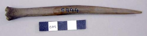 Pointed tools, of bone made from metatarsus with upper end forming handle