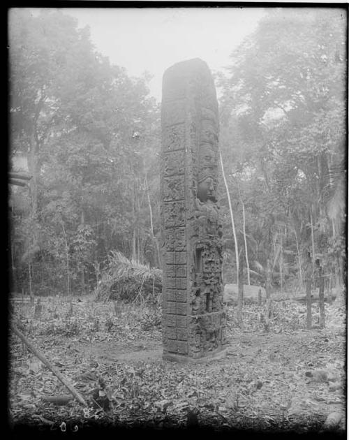 Stela D, northwest corner