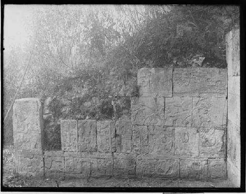 Section of rear wall, Chamber of the Low Reliefs, Temple of the Tigers