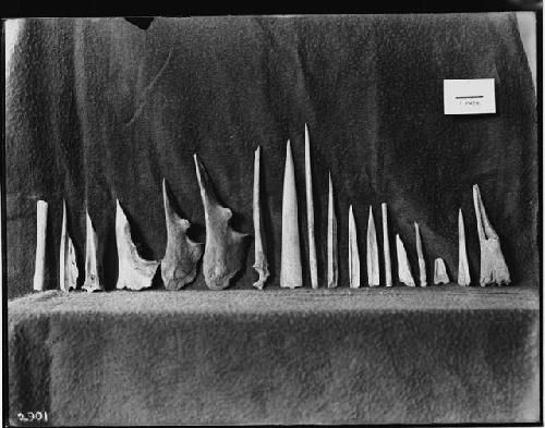 Bone Implements from White's Field