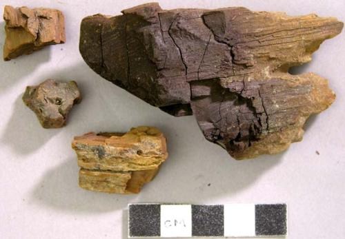 Fragments of wood