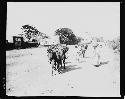 People with animals and containers on road