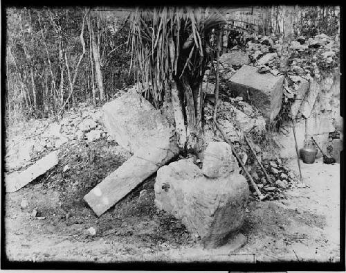 Showing in foreground at base of felled tree the tail of Serpent Column