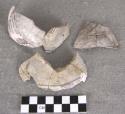 Ceramic, sherds, black on white, some mended, some reconstruction