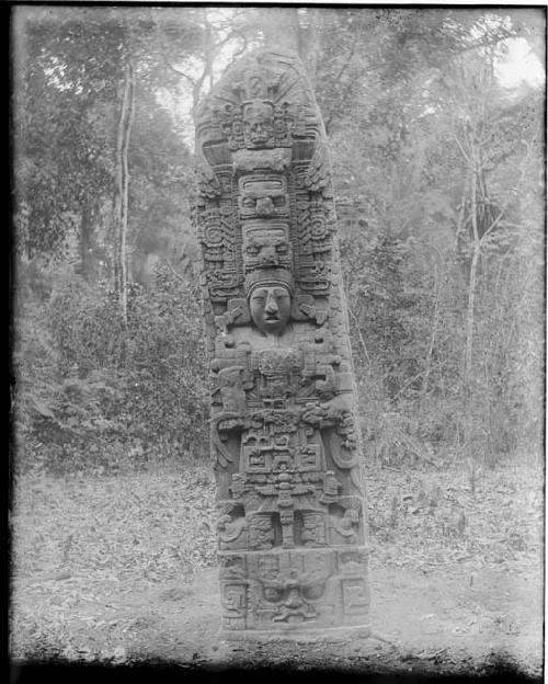 Stela D, north side